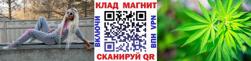 APVP Дзержинский