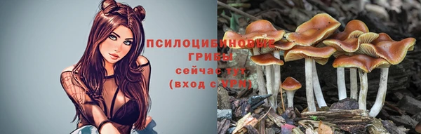 герыч Белокуриха