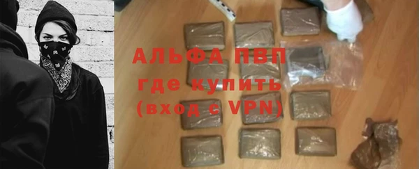 PSILOCYBIN Инсар