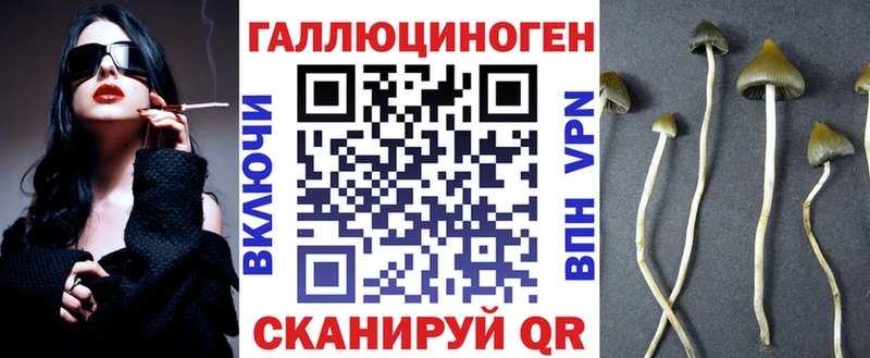 Псилоцибиновые грибы MAGIC MUSHROOMS  купить наркоту  Дзержинский 